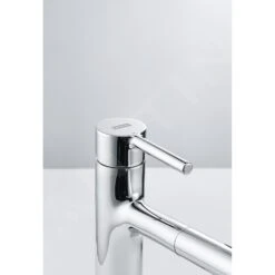 Franke Centro - Keukenkraan FP 0098.031 Met Uittrekbare Sproeikop, Chroom 115.0600.098 -Franke 40895320930f12639231d3b7