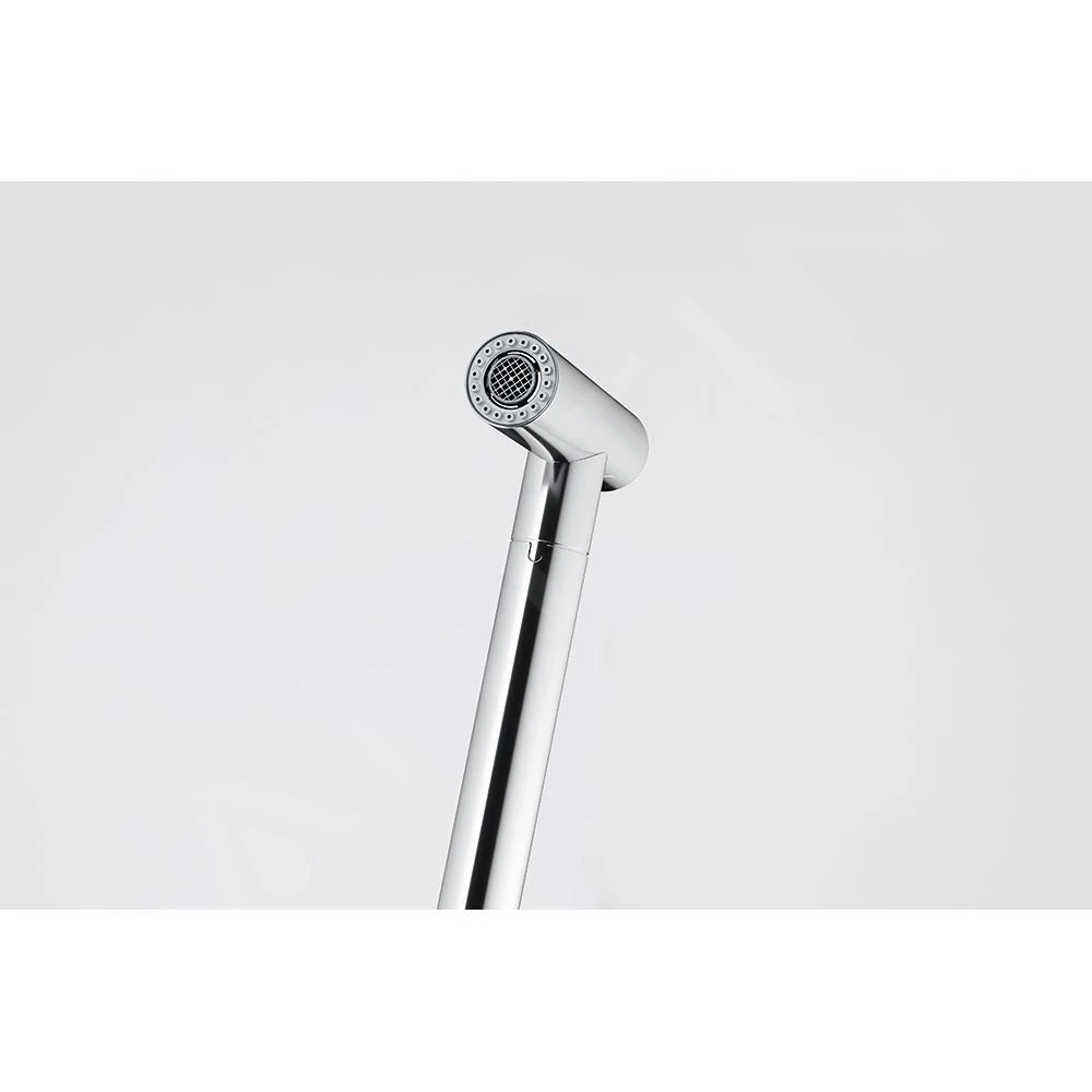 Franke Icon - Keukenkraan FG 5188.031 Met Uittrekbare Sproeikop, Chroom 115.0625.188 6 Franke Icon - Keukenkraan FG 5188.031 Met Uittrekbare Sproeikop, Chroom 115.0625.188 - Afbeelding 4