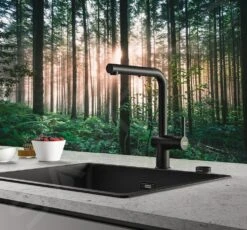 Franke Active New - Keukenkraan FN 6110.901, Met Uittrekbare Handdouche, Mat Zwart 115.0653.382 -Franke b8e2f909346a697c5141a4de